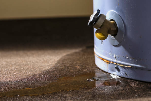 Best Local water damage restoration  in Taylors Falls, MN