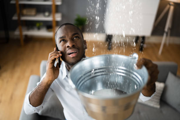 Best Residential water damage restoration  in Taylors Falls, MN