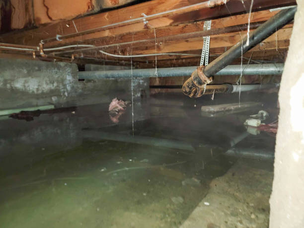 Taylors Falls, MN Water damage restoration Company