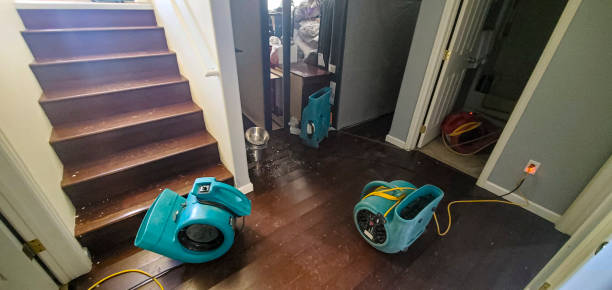  Taylors Falls, MN Water damage restoration Pros