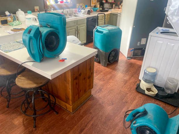 Best 24/7 water damage repair  in Taylors Falls, MN