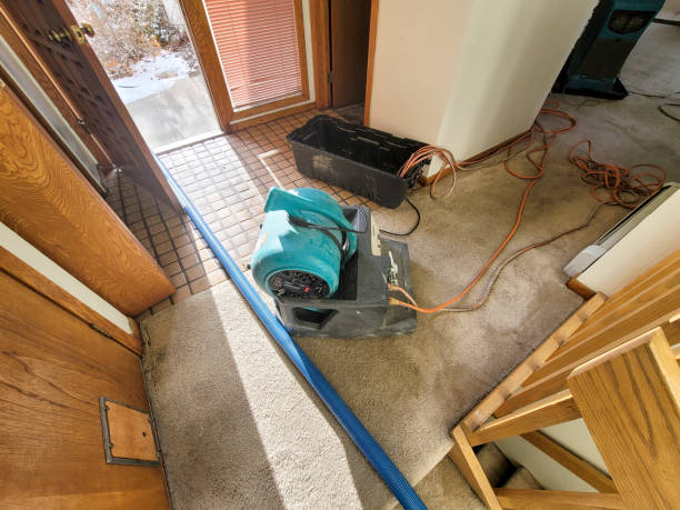 Best Flood damage cleanup  in Taylors Falls, MN