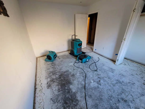 Best Commercial water damage restoration  in Taylors Falls, MN
