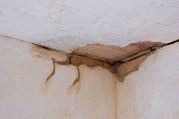 Best Ceiling water damage repair  in Taylors Falls, MN
