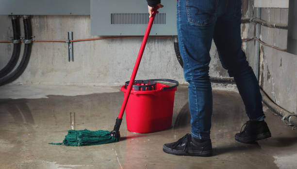 Best Water damage contractors near me  in Taylors Falls, MN