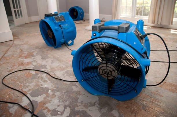 Best Carpet water damage restoration  in Taylors Falls, MN