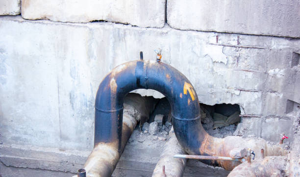 Best Sewage cleanup and water damage restoration  in Taylors Falls, MN
