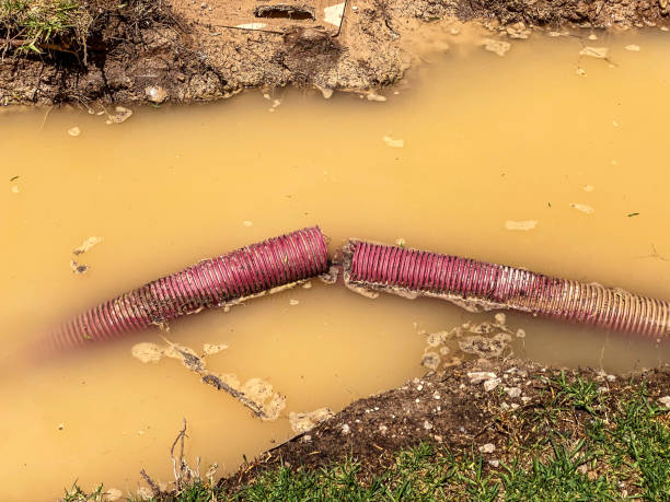 Best Basement water damage restoration  in Taylors Falls, MN