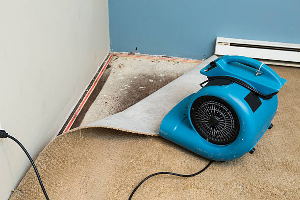 Best Water damage restoration process  in Taylors Falls, MN